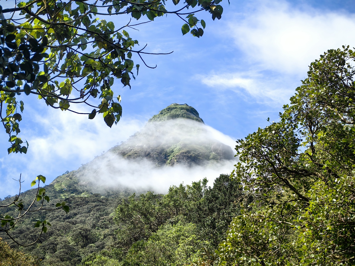 亞當山 Adam's Peak